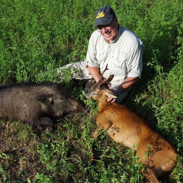 roe deer hunting italy