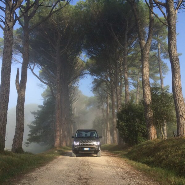 wild boar hunting italy