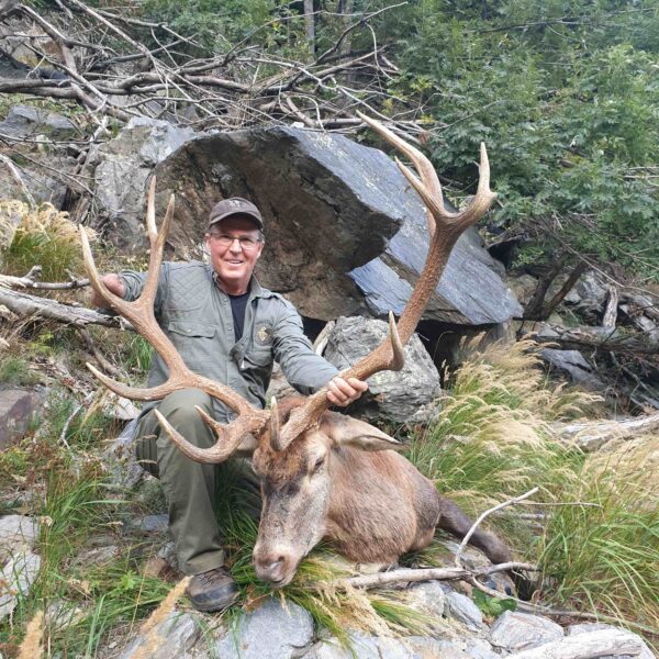 red stag hunting italy