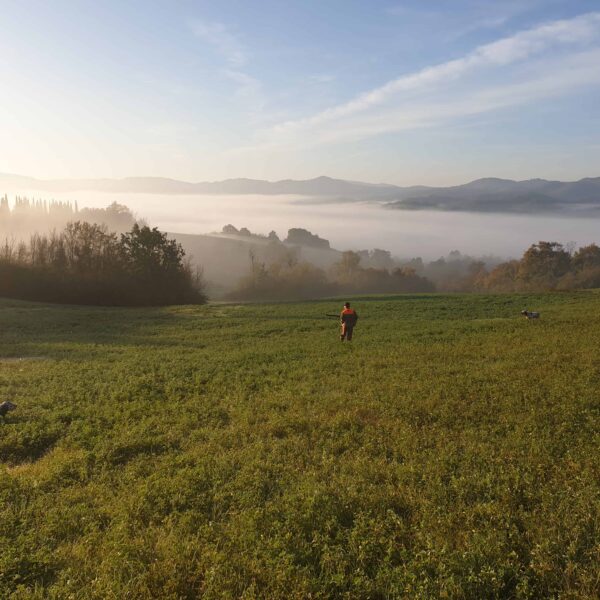 pheasant hunting italy
