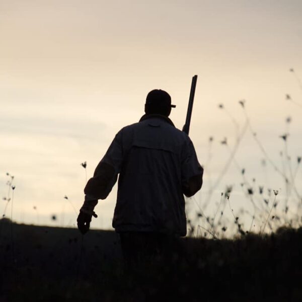 pheasant hunting italy