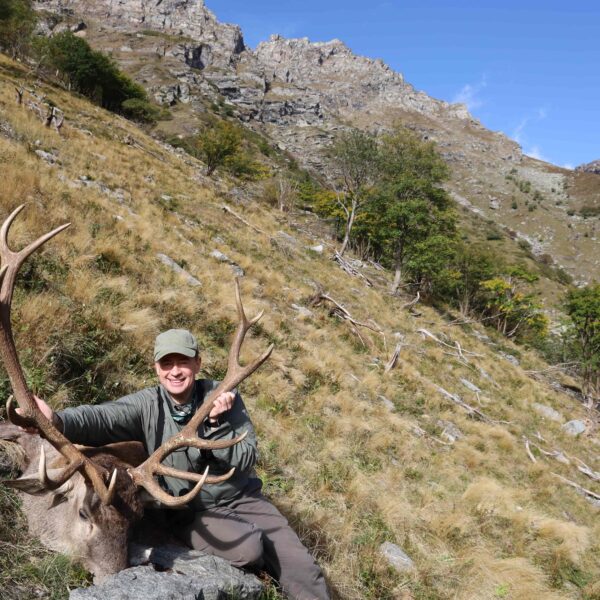 red stag hunting italy