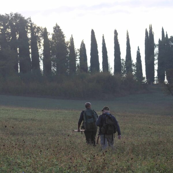 wild boar hunting italy