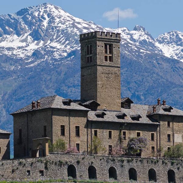 alpine chamois hunting italy