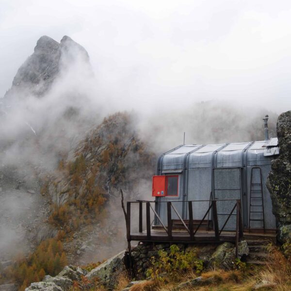 alpine chamois hunting italy