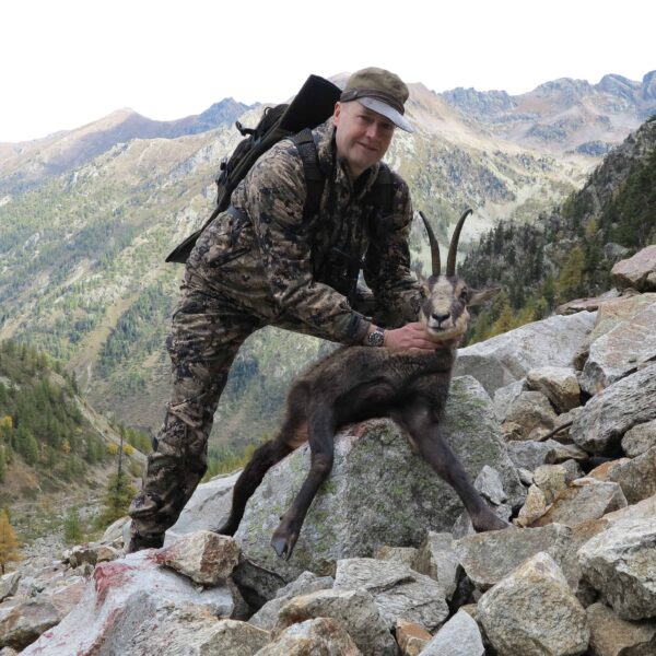 alpine chamois hunting italy