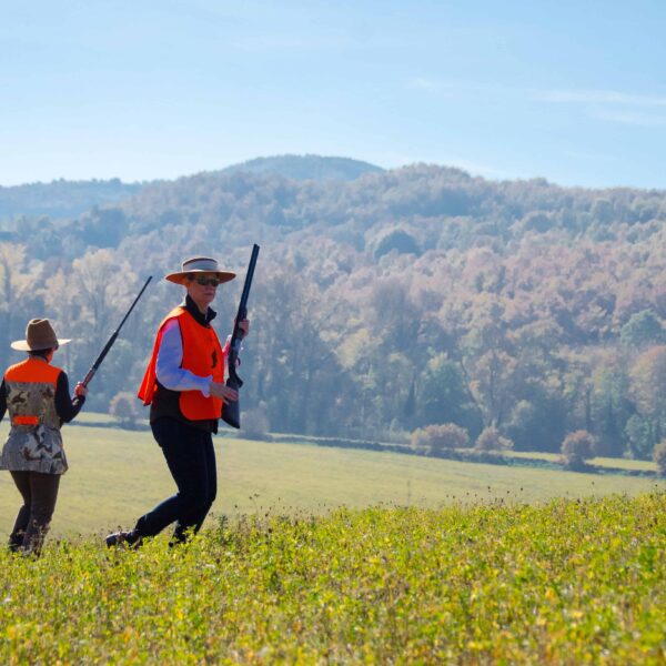 pheasant hunting italy