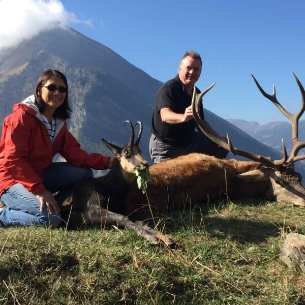 red stag hunting italy