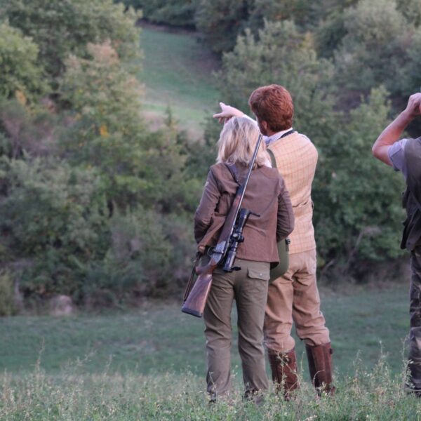 roe deer hunting italy