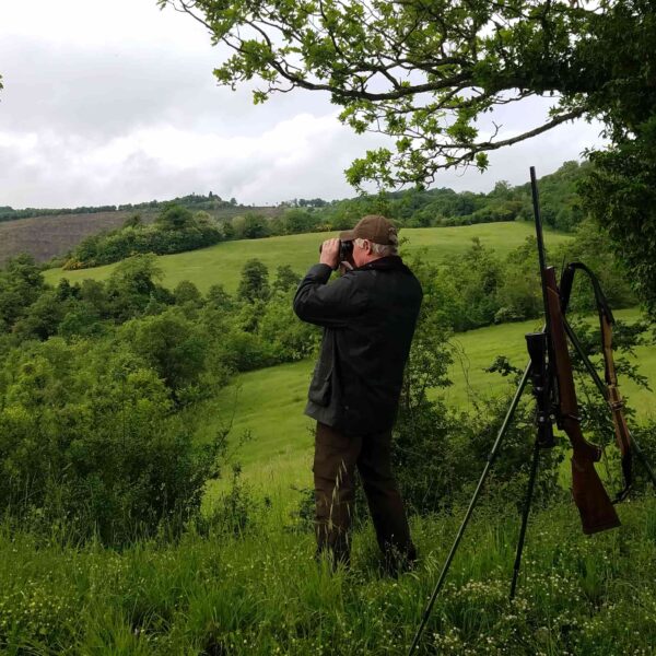 wild boar hunting italy
