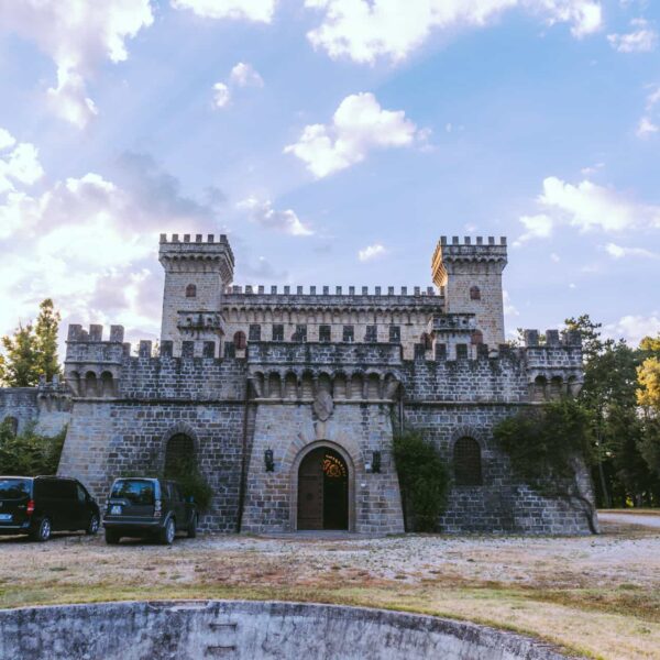 wild boar hunting italy