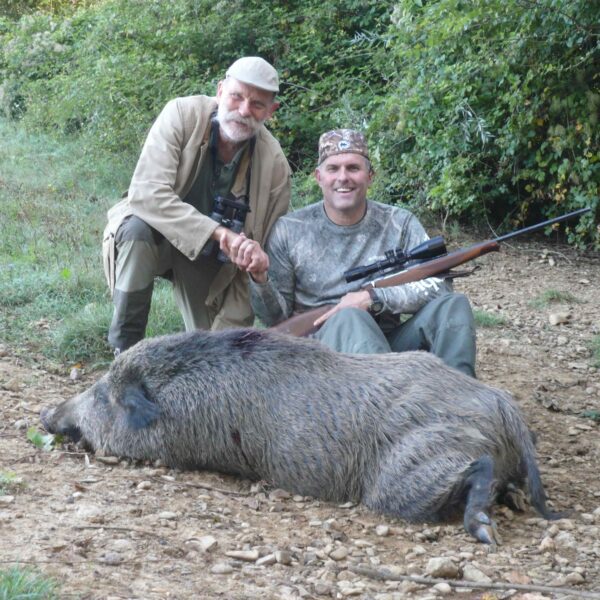 wild boar hunting italy