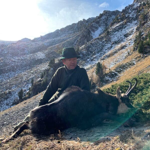 Chamois Italian Alps