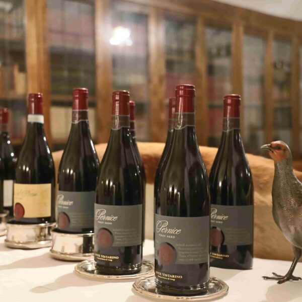 Tuscan Indulgence wine tasting